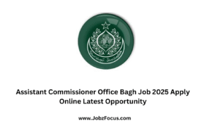Assistant Commissioner Office Bagh Job 2025 Apply Online Latest Opportunity